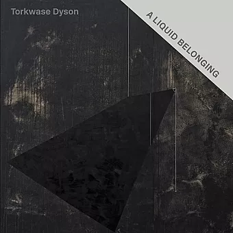 Torkwase Dyson: A Liquid Belonging cover
