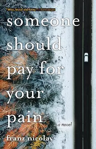 Someone Should Pay for Your Pain cover