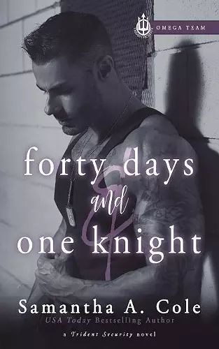 Forty Days & One Knight cover