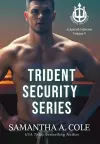 Trident Security Series cover