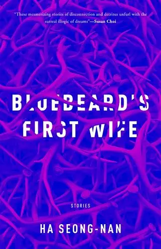 Bluebeard's First Wife cover