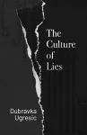 Culture Of Lies cover