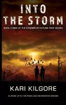 Into the Storm cover