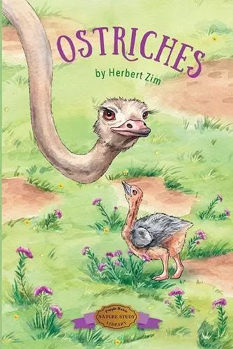 Ostriches cover