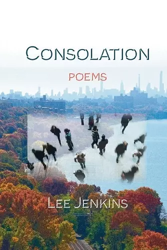 Consolation; Poems cover