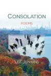 Consolation; Poems cover