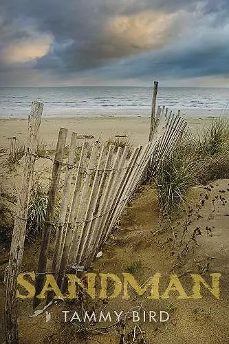 Sandman cover