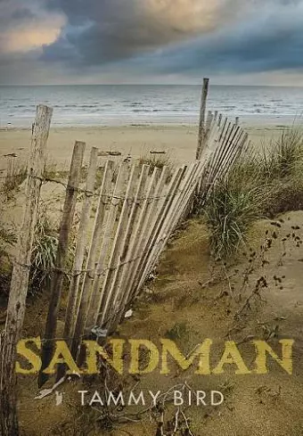 Sandman cover