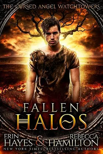 Fallen Halos cover