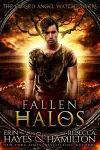 Fallen Halos cover