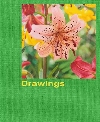 Mathew Cerletty: Drawings cover