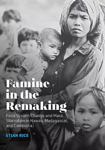 Famine in the Remaking cover