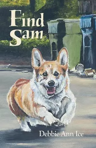 Find Sam cover