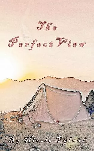 The Perfect View cover