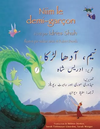 Niim le demi-garçon cover