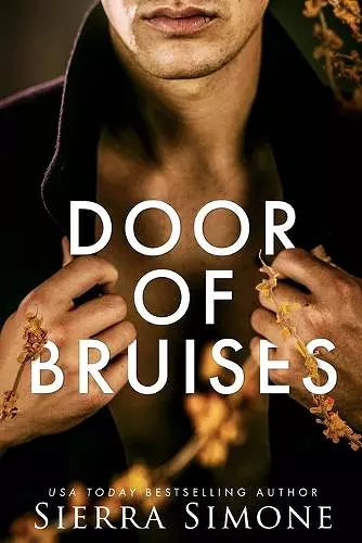 Door of Bruises cover