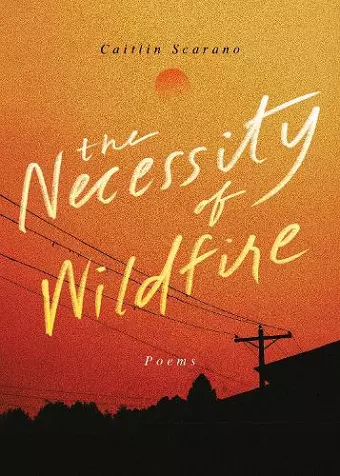 The Necessity of Wildfire cover