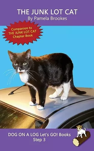 The Junk Lot Cat cover