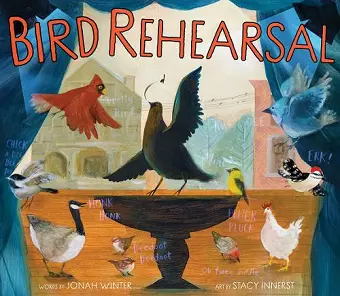 Bird Rehearsal cover