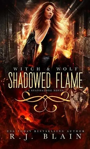 Shadowed Flame cover