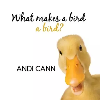 What Makes a Bird a Bird? cover