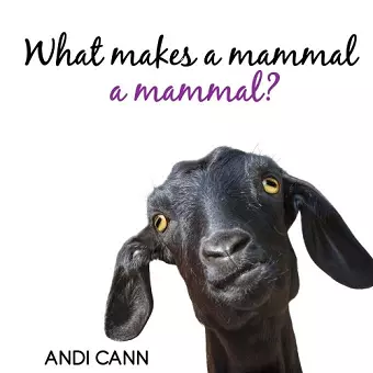 What Makes a Mammal a Mammal? cover