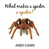 What Makes a Spider a Spider cover