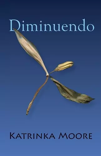 Diminuendo cover