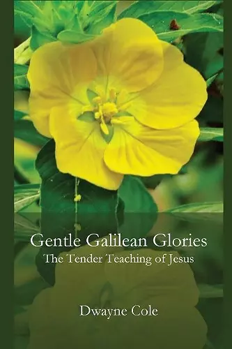 Gentle Galilean Glories cover