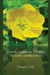 Gentle Galilean Glories cover