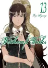 Witchcraft Works 13 cover