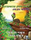 অ্যাভোকাডো একটি কচ্ছপ cover