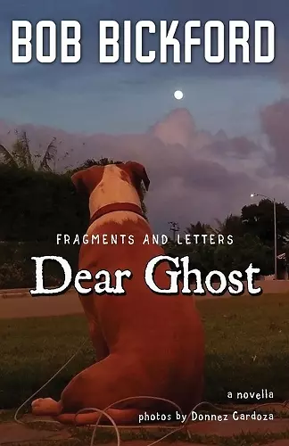 Dear Ghost cover