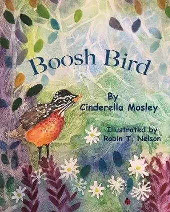 Boosh Bird cover