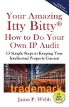 Your Amazing Itty Bitty(R) How to Do Your Own IP Audit cover