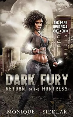 Dark Fury cover