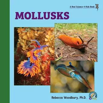 Mollusks cover