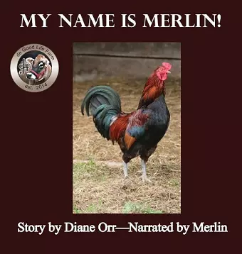 My Name is Merlin cover