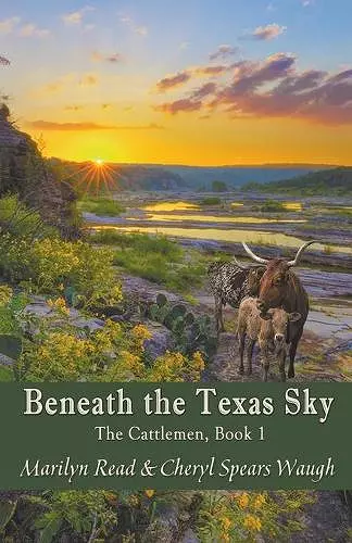 Beneath the Texas Sky cover