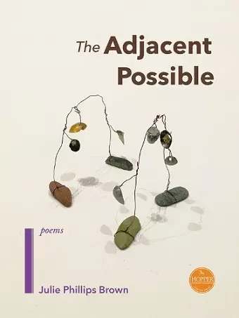 The Adjacent Possible cover