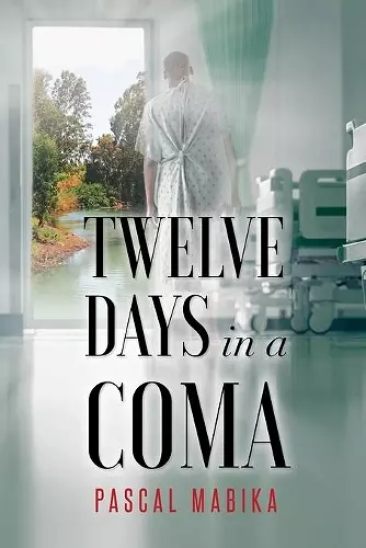 Twelve Days in a Coma From the Jordan River to His Bedside cover