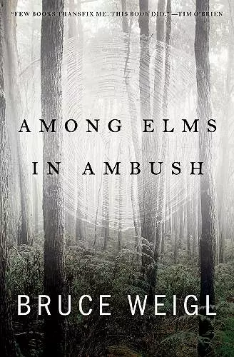 Among Elms, in Ambush cover