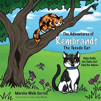 The Adventures of Rembrandt the Tuxedo Cat cover