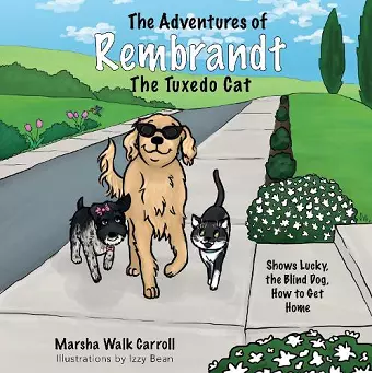 The Adventures of Rembrandt the Tuxedo Cat cover