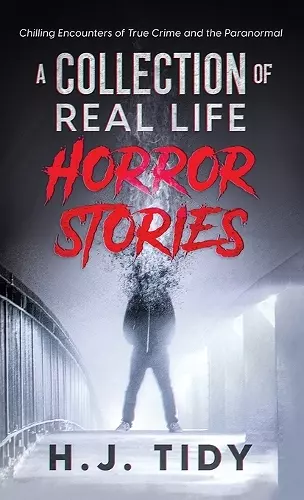 Horror Stories cover