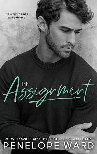 The Assignment cover