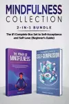 Mindfulness Collection 2-in-1 Bundle cover