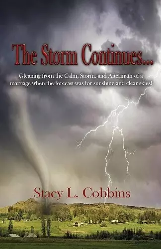 The Storm Continues... cover