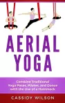 Aerial Yoga cover