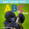 Baby Animals First ABC Book cover